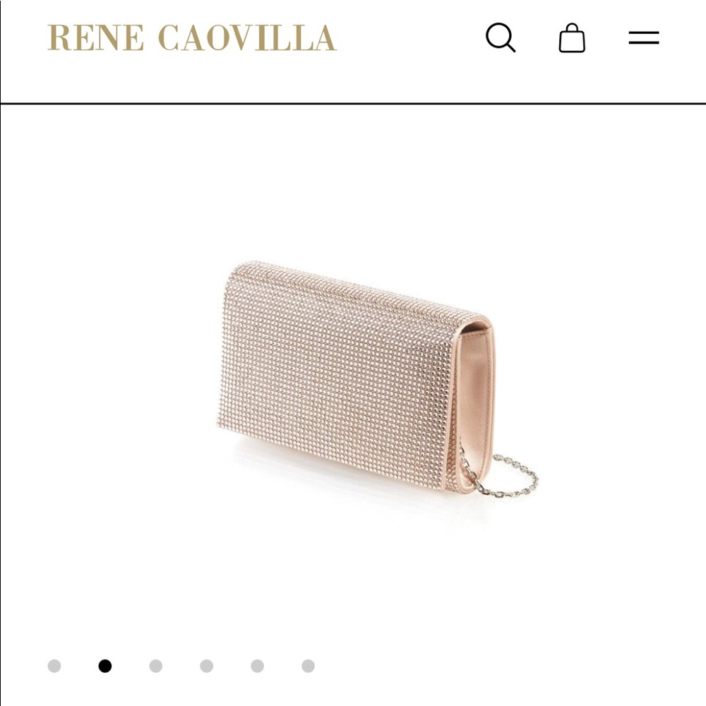 Rene Caovilla Rose Gold Clutch